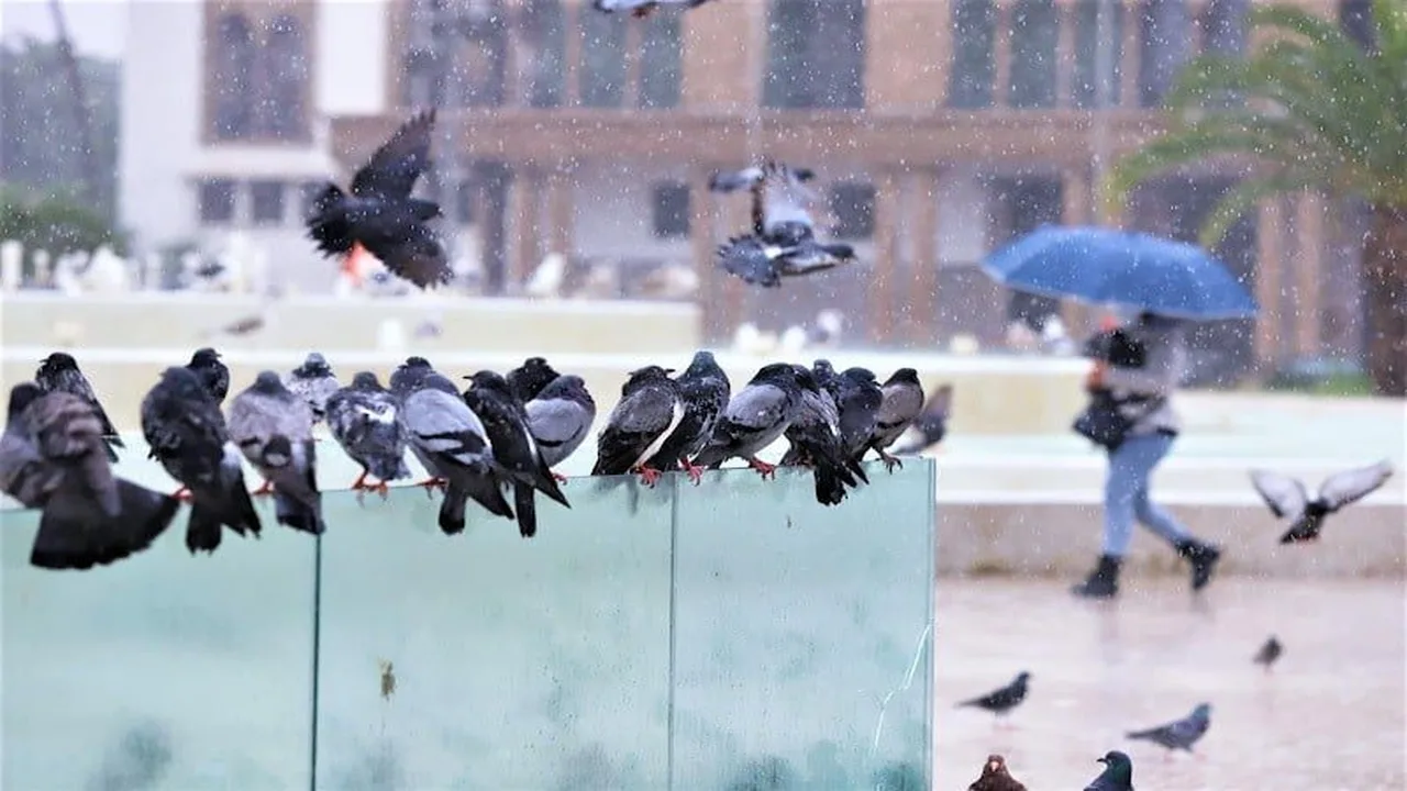 أمطار رعدية وثلوج فوق مرتفعات الأطلس ورياح قوية تضرب عدة مناطق مغربية